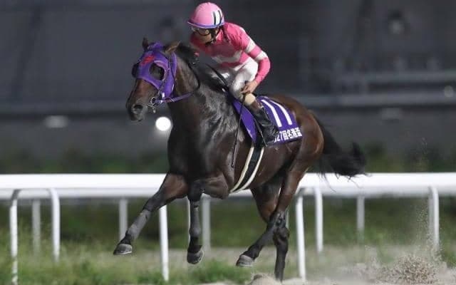 【名古屋・名港盃結果】ナムラマホーホが捲って圧勝！重賞6勝目を挙げる