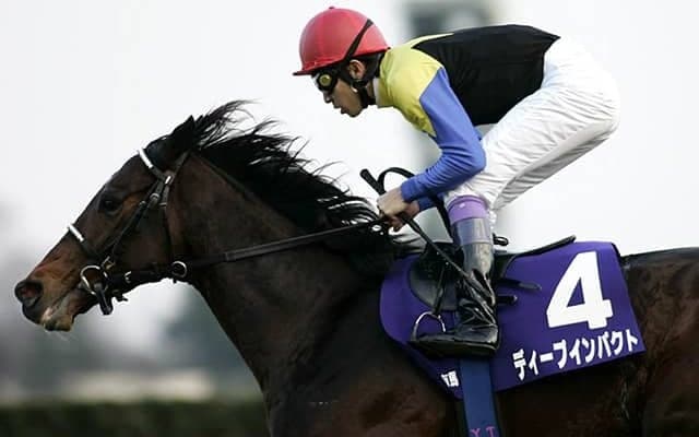 ノーザンホースパークで「ディープインパクトゲートを彩るフラワーオブジェをみんなで作ろう」を開催