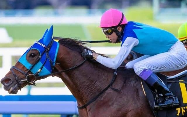 史上最高額の重賞ウイナー誕生なるか 5億8000万円のアドマイヤビルゴが中京記念に参戦