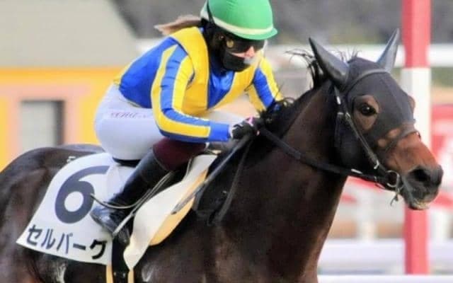 中京記念は好走データに当てはまる穴馬に要注意！ 鍵はエピファネイア＆前走同距離