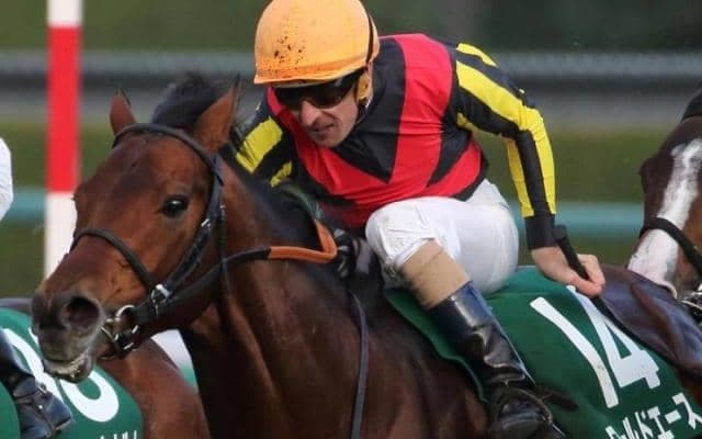 ワールドエースが種牡馬引退 道営最強馬シルトプレなどを輩出