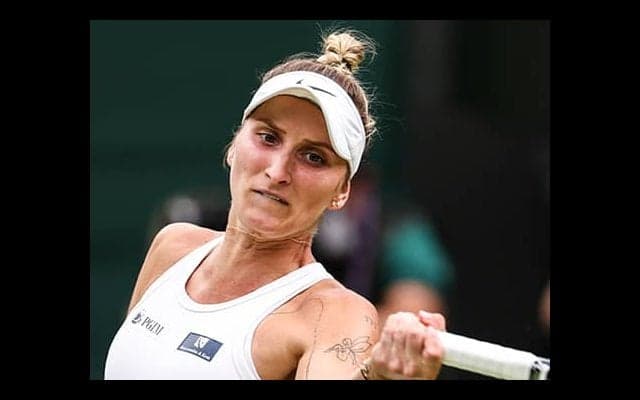 WB優勝の24歳 タトゥーの意味