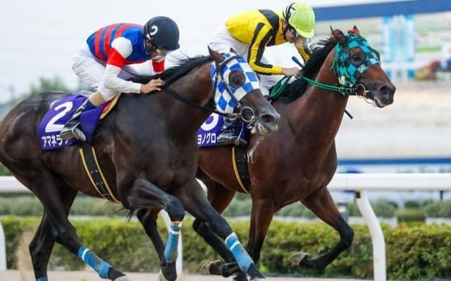 【浦和・プラチナC結果】サヨノグローリーが押し切って重賞初勝利