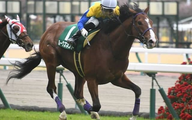 21年のファルコンS覇者ルークズネストが抹消 今後は浦和競馬に移籍