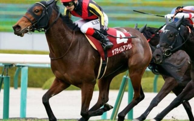 一族に重賞ウイナー多数の良血 サブライムアンセムが重賞2勝目狙う