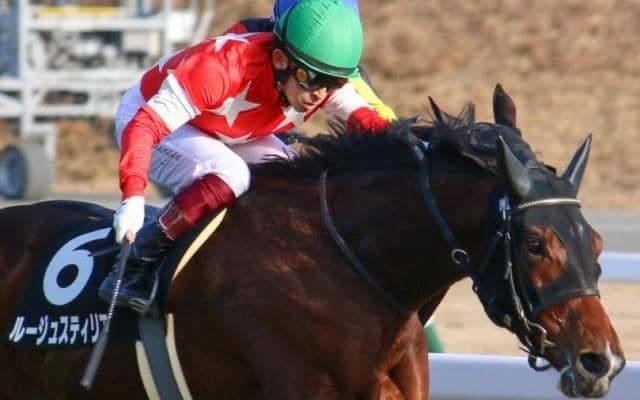 ディープ産駒5年ぶりVなるか ルージュスティリアが中京記念に参戦