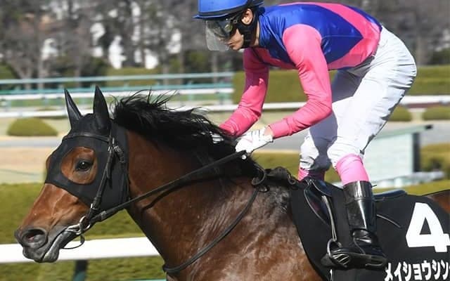 前走10番人気の低評価覆したメイショウシンタケ 中京記念でその勢いは無視できない