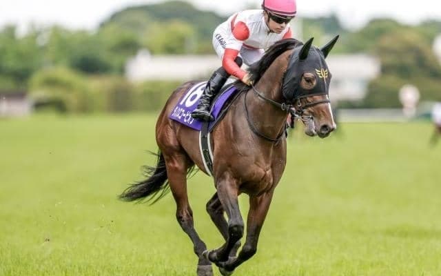 【中京記念予想】AIは評価の割れそうな実績馬をチョイス！ 近走データから好走確率を徹底分析