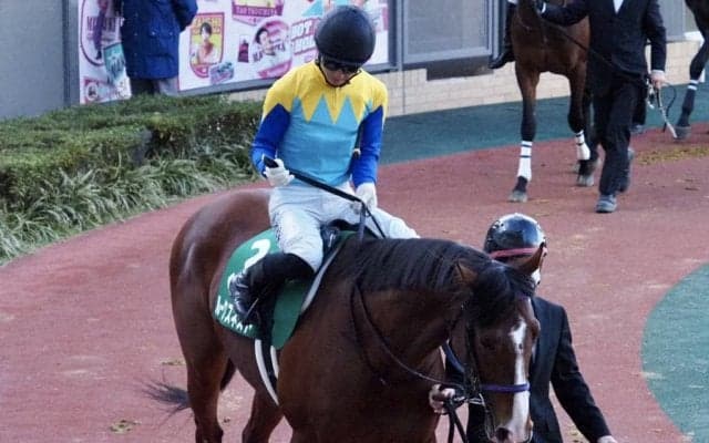 ルークズネストが競走馬登録抹消