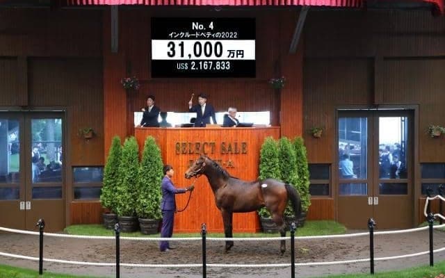 取引総額は147億円超 驚異的な数字を残したセレクトセール1歳セッション