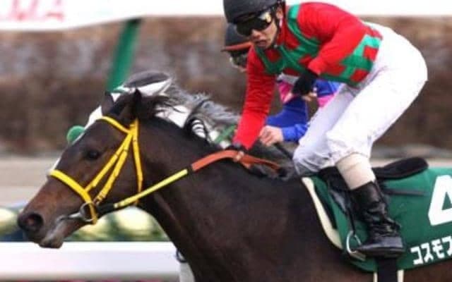 芝ダート障害の“三刀流”馬が死す 現役引退後は金沢大で乗馬も