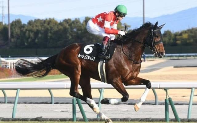  【中京記念枠順確定】ルージュスティリアは8枠16番、ディヴィーナは6枠11番