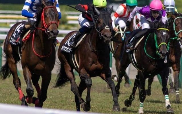 前走は直線で不利あり ホウオウサンデーが待望の2勝目を狙う