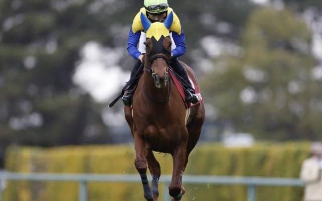 函館記念2着ルビーカサブランカやオークス3着ドゥーラなど クイーンS想定馬17頭＆騎手