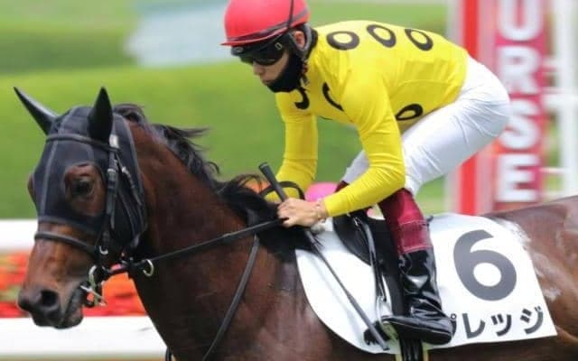 【土曜中京2R予想】母の父タピットの血が騒ぐ 初ダートで初勝利なるか