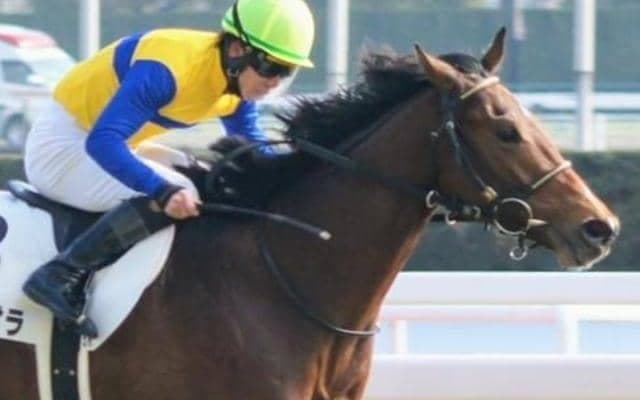 初ダートは血統的に不問 中京最終はエアメテオラの素質信頼