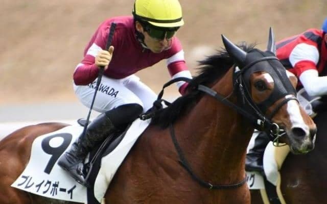 【土曜中京8R】祖母は名牝メジロドーベル ブレイクボーイの巻き返しだ