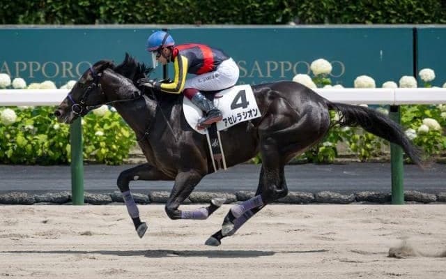 【札幌5R新馬戦結果】アセレラシオンが差し切りV！