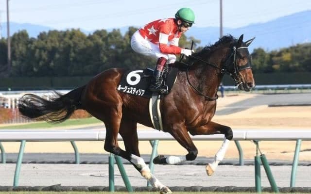 【中京記念前日オッズ】ルージュスティリアが4.3倍で1番人気