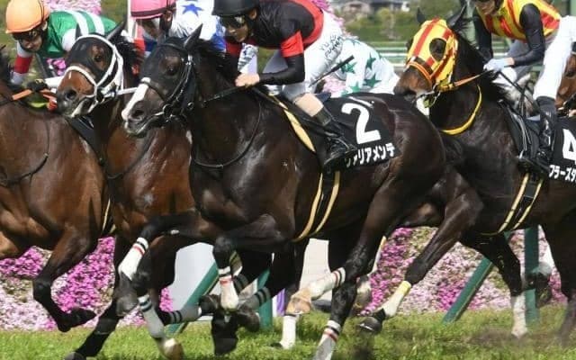 中京芝はドゥラメンテ祭り！ ヴァリアメンテの重賞初制覇だ