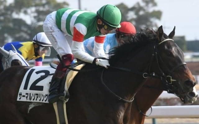 【日曜中京6R予想】初ダートのサーマルソアリング ガラリ一変があるぞ