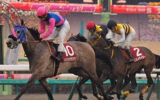 メイショウテンゲンが競走馬登録抹消