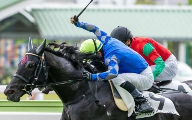 【白河特別予想】福島芝1800mは2戦2勝 得意舞台で一変期待