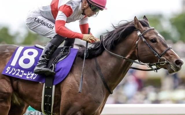 【今日の注目ポイント】中京でサマーマイル第二弾の中京記念