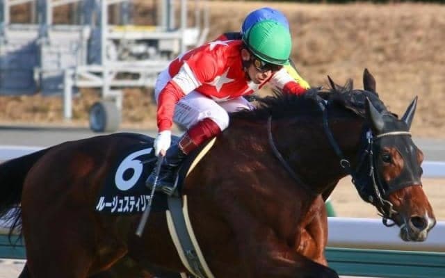 【中京記念予想】4年ぶりの中京開催 過去8回のうち1番人気馬は1勝と苦戦傾向