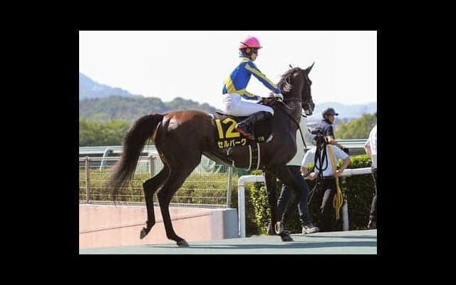 波乱含みの中京記念　高配当をもたらす使者はコース巧者と夏場に強い２頭
