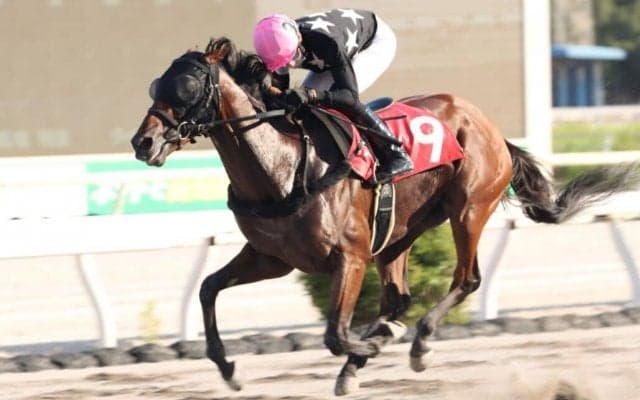 【高知・栴檀特別】デステージョが5馬身差圧勝…宮川「非常に良いレース運び出来た」