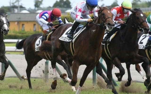 レイデオロ産駒が初勝利！ マテンロウゴールドが追い比べを制し新馬V/中京5R新馬戦