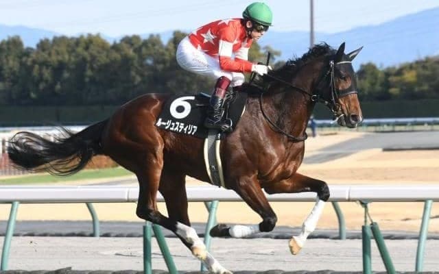 【中京記念・馬体重】ルージュスティリアは486kg(+4)、ディヴィーナは422kg(±0)