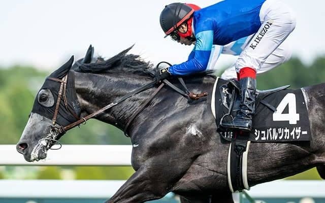 【しらかばS結果】シュバルツカイザーが連勝でレコードV！