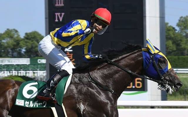 【中京記念結果】8番人気のセルバーグが逃げ切って重賞初V！