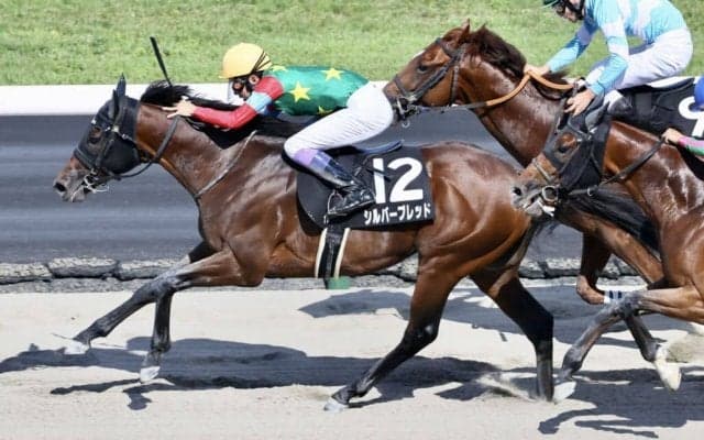 【大倉山特別】武豊騎乗の伏兵、シルバーブレッドが接戦を制する