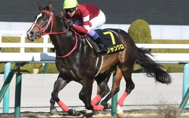新潟競馬開幕を飾る電撃戦アイビスSD 札幌ではクイーンS/今週の競馬界の見どころ