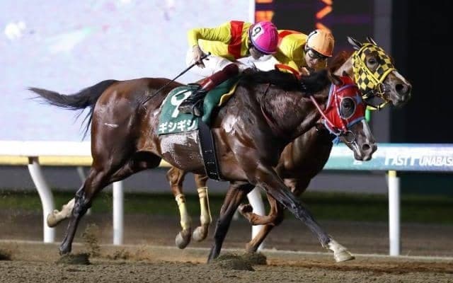 全国から快速馬集う電撃の5F戦 連覇を狙うギシギシは2枠2番/習志野きらっとスプリント枠順