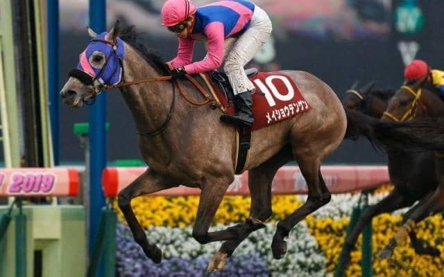 19年弥生賞覇者メイショウテンゲンが抹消 今後は中山競馬場で乗馬に