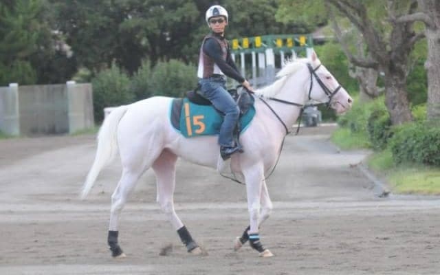 いとこにソダシなど シラユキヒメ一族のブランシール/関東馬メイクデビュー情報