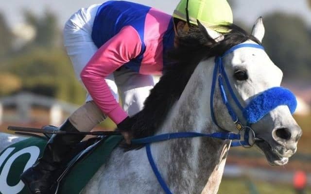 【先週のJRA抹消馬】弥生賞で親仔制覇果たしたメイショウテンゲン、ダートで活躍したソリストサンダーなど