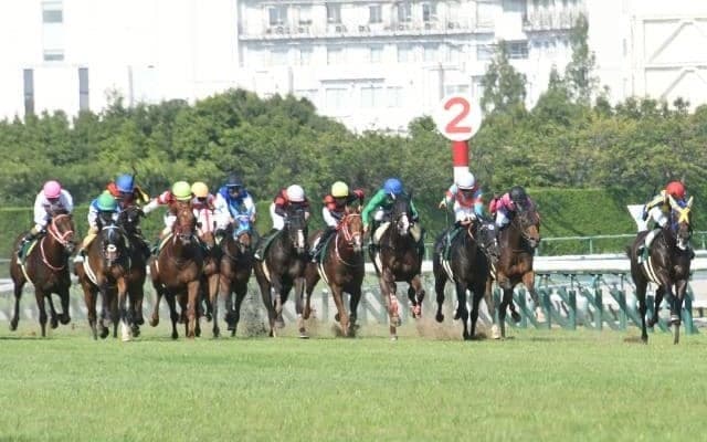 中京記念2着のディヴィーナ 好走の裏には血統背景が