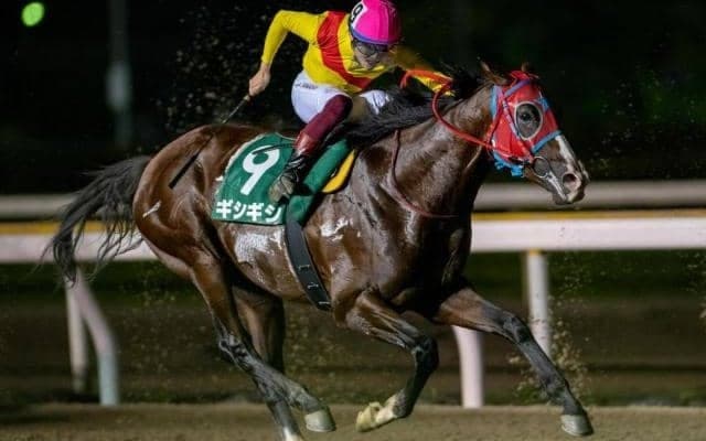 連覇狙うギシギシ vs 各地のトップスプリンター/習志野きらっとスプリント