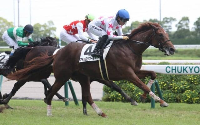 【新馬/中京5R】レイデオロ産駒が初勝利！マテンロウゴールドが人気に応える