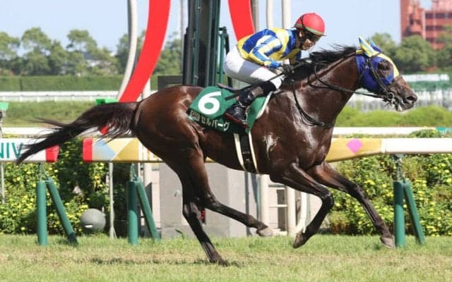 【中京記念】伏兵セルバーグが逃げ切りで重賞初制覇