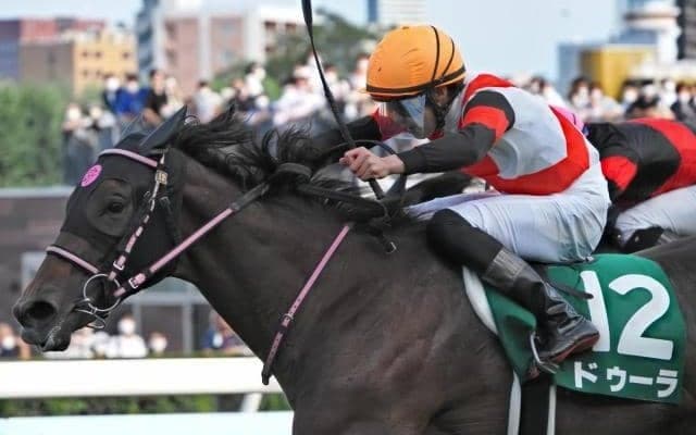 6年ぶりの3歳Vなるか クイーンSにオークス3着馬ら参戦