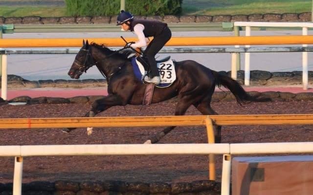 ララクリスティーヌ、関屋記念2週前追い切り速報/栗東トレセンニュース