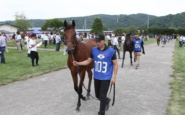ソフトバンクの柳田悠岐選手がセレクションで2日連続落札 キズナなど名馬輩出の名牝系