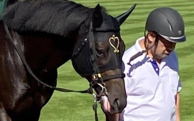 サンデーサイレンス系のアイビスSD初Vなるか 昨年3着ロードベイリーフに要注目