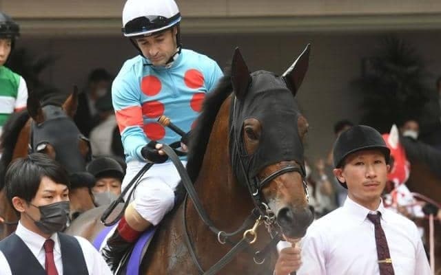 【エルムS想定】オーソリティ、ペプチドナイルなど19頭